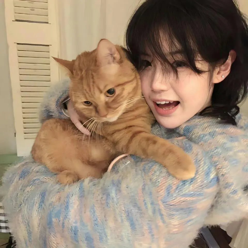 月亮不曾拥抱你